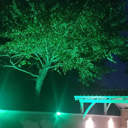 Itamos Migdanis House Hotell *